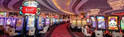 Live Casino dengan Dealer Profesional dan Interaktif